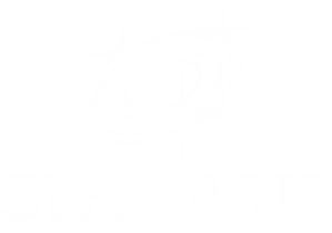 Stellaris Education